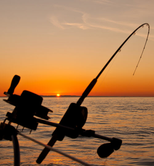 Catching_Things_Early_web Catching Things Early - by Dr. Ross Grumet